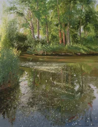 Waterbloemen bij zonsopgang